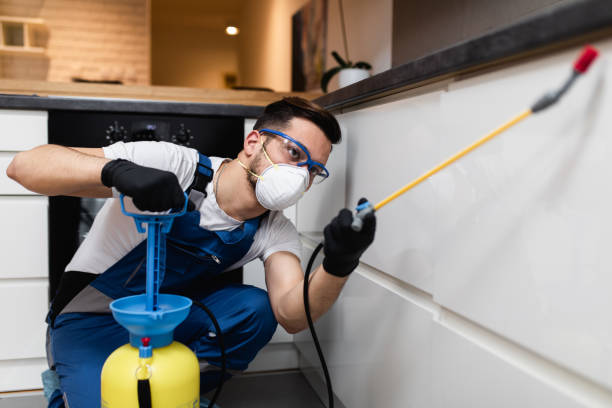 Best Mosquito Control Services  in Yuba City, CA