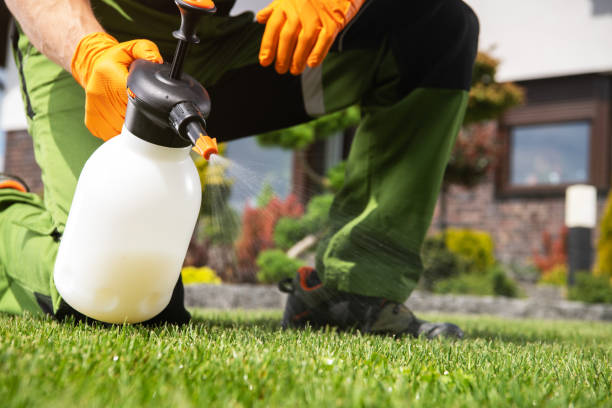Best Local Pest Control Services  in Yuba City, CA
