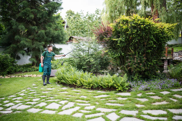 Best Ant Control Services  in Yuba City, CA