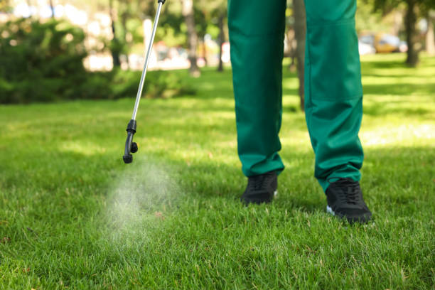 Flea Control Services in Yuba City, CA