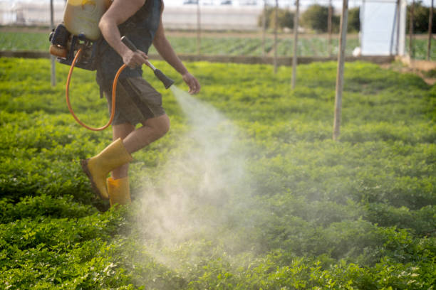 Best Pest Control for Businesses  in Yuba City, CA