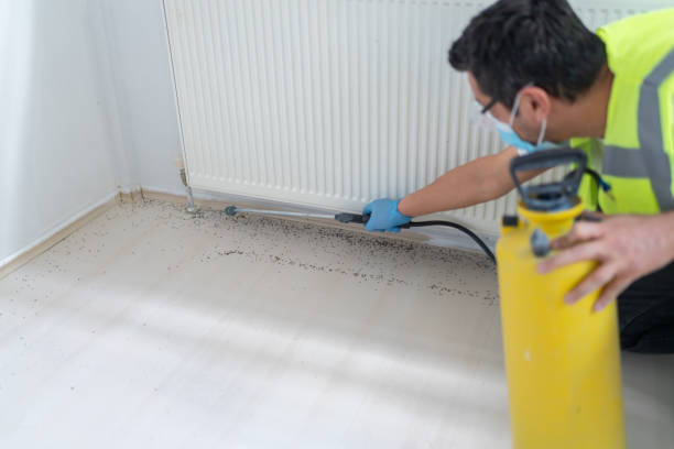  Yuba City, CA Pest Control Pros
