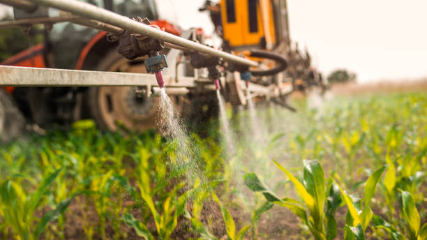 Best Commercial Pest Control Services  in Yuba City, CA